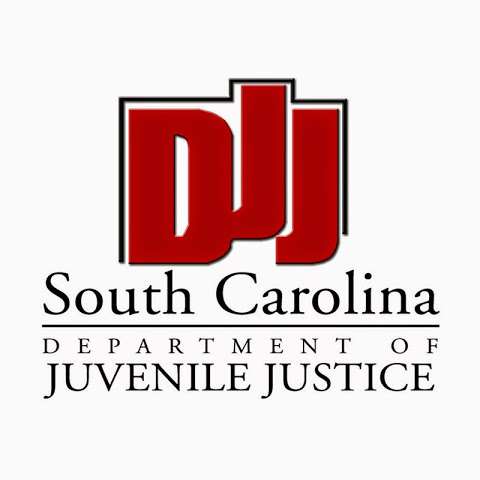 The South Carolina Department of Juvenile Justice The South Carolina Department of Juvenile Justice